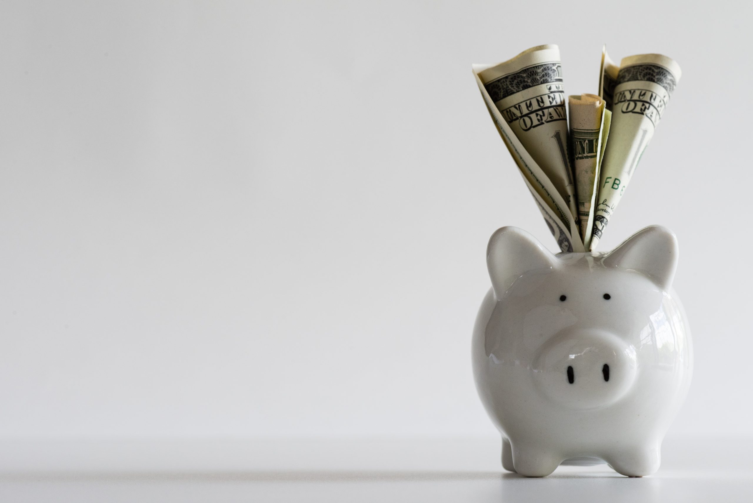 A small white piggybank with money sticking out of it.
